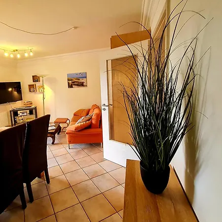 Inselstern Groß Zicker